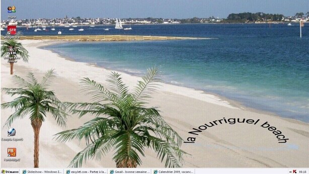 A beach scene with clear skies, a sandy shore, and palm trees. - Detached family home south brittany less than 200 m from the beach  (Larmor-Plage)