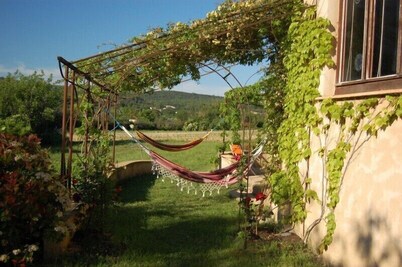 Detached house near Barjac for 13 people with swimming pool.