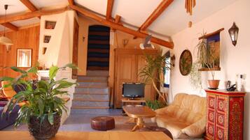 Televisie, een open haard, een tafeltennistafel en boeken