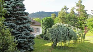 A house surrounded by lush greenery, including a large coniferous tree and a weeping willow. - Spacious 3-star house in the Vosges (Nayemont-Les-Fosses)