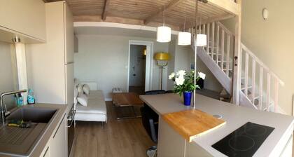 magnífica vista al mar y acceso directo a la playa