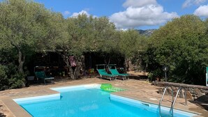 Ein rechteckiger Pool mit Steinumrandung, umgeben von Liegestühlen und Bäumen.