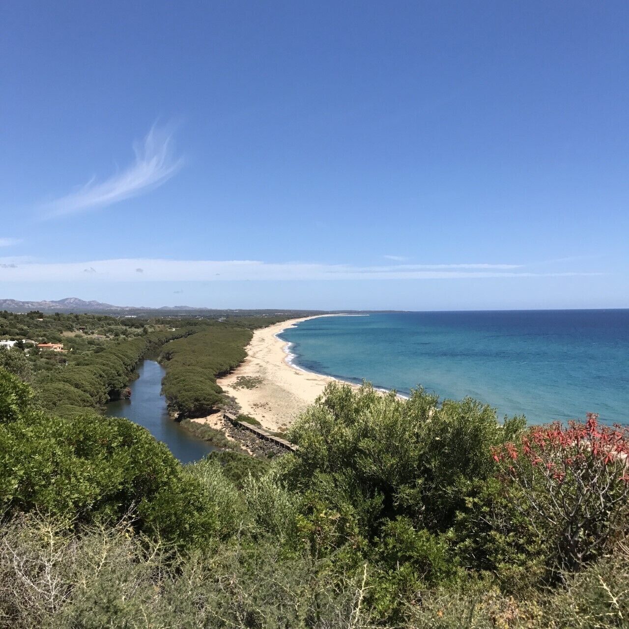 Un paysage côtier comprenant une rivière, une plage et une végétation luxuriante.