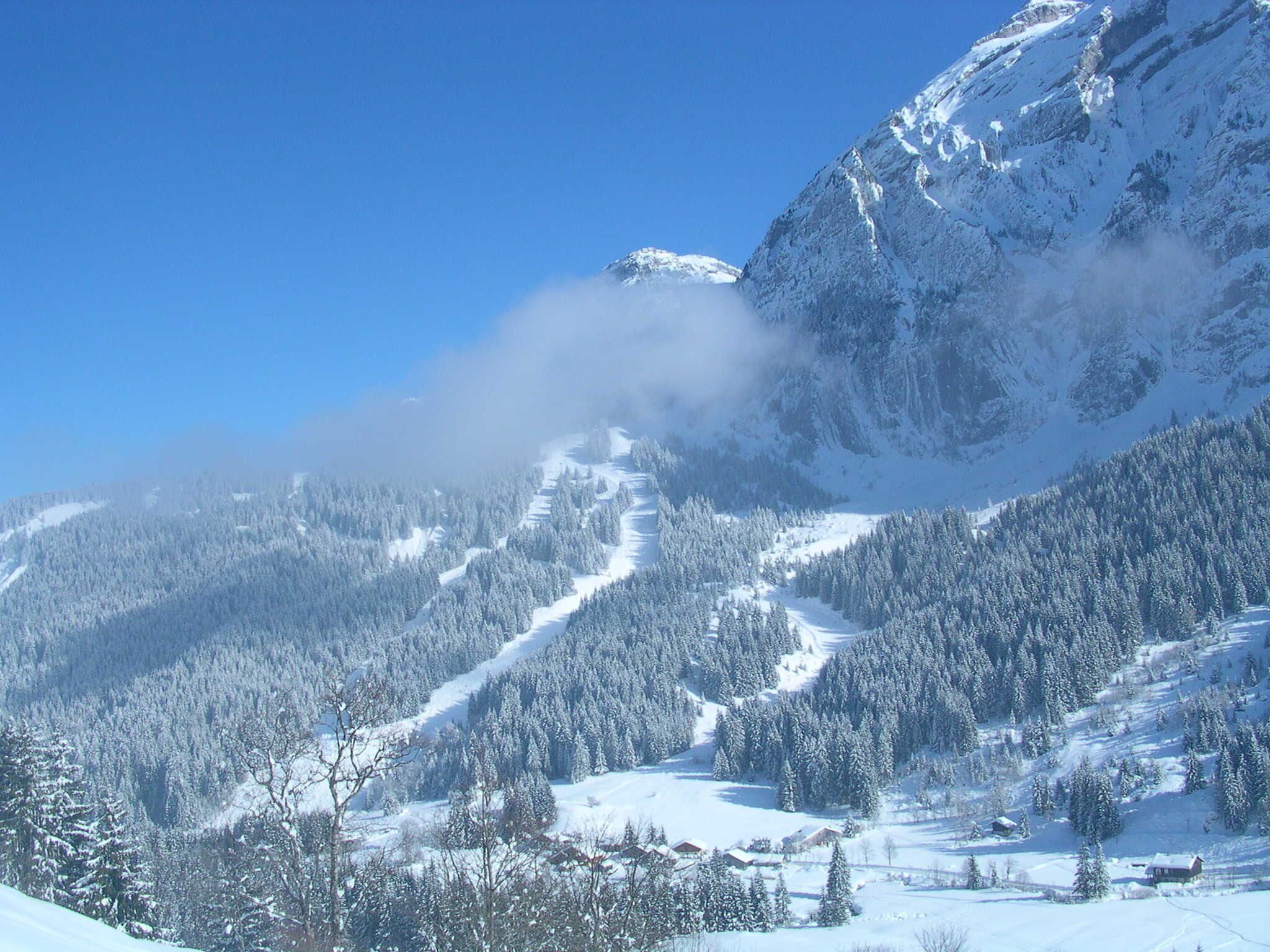 Snow and ski sports