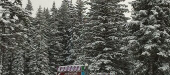 Les Saisies, Dispo Janvier et Mars , 4 pers, centre station