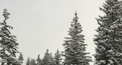 Les Saisies, Erhältlich Januar und März, 4 Personen, Resort Center