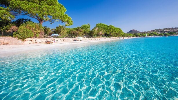 A beach with clear turquoise water, a large tree, and a rocky shoreline. - Villa 6 people swimming pool port vecchio (Porto vecchio)