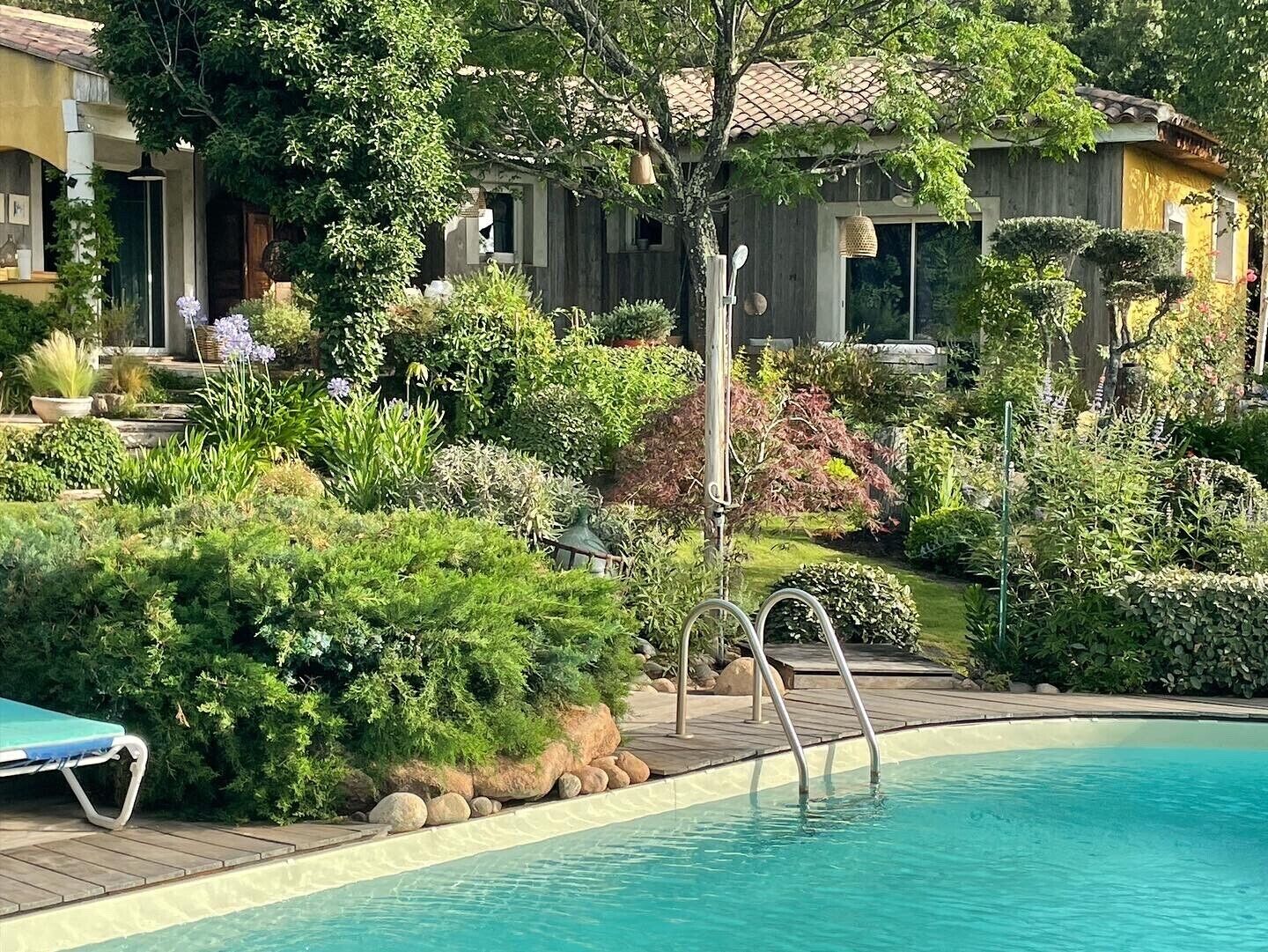 A pool area with a wooden deck, surrounded by lush greenery and a variety of plants.
