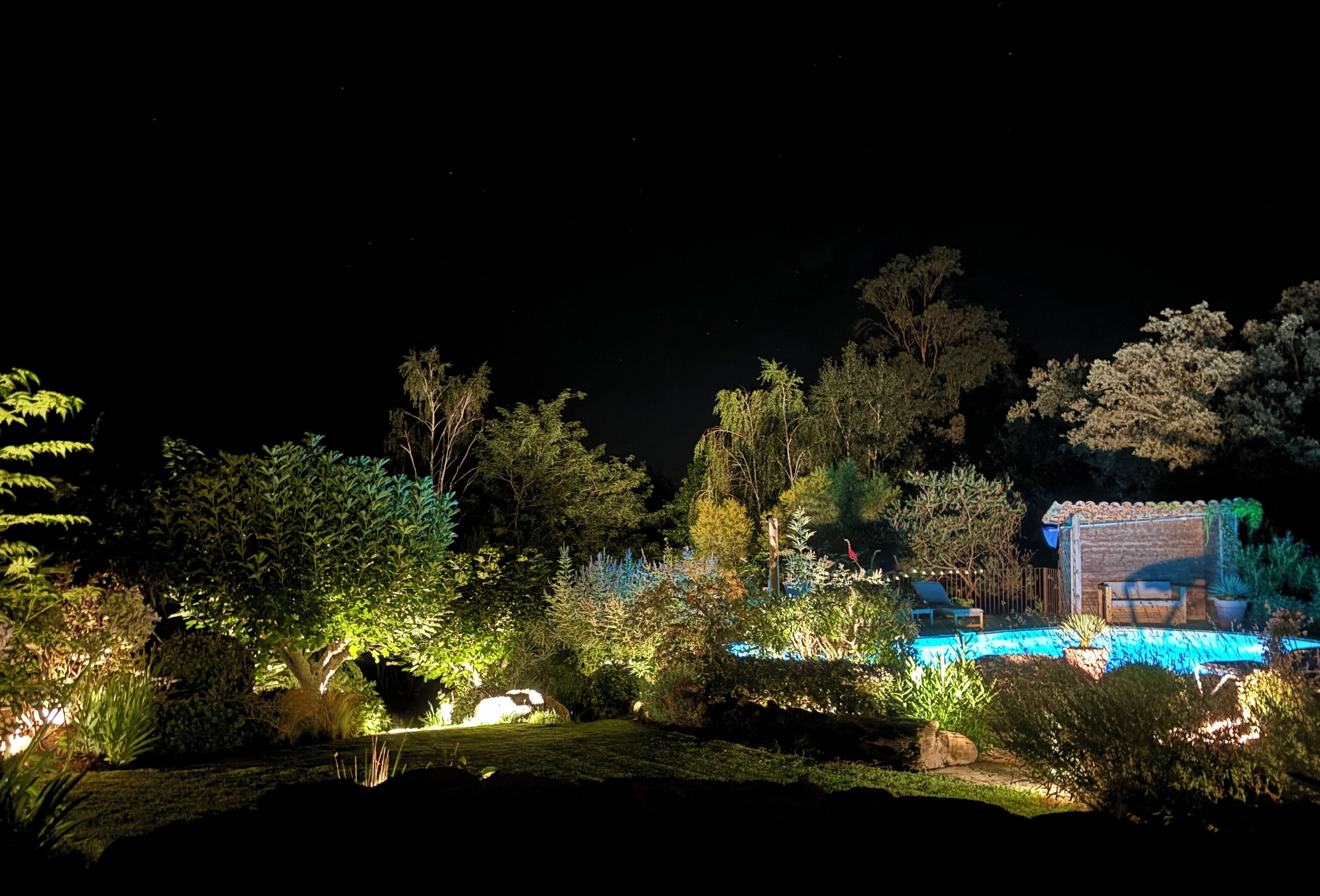 A nighttime garden with a pool, illuminated plants, and a small building with a tiled roof.