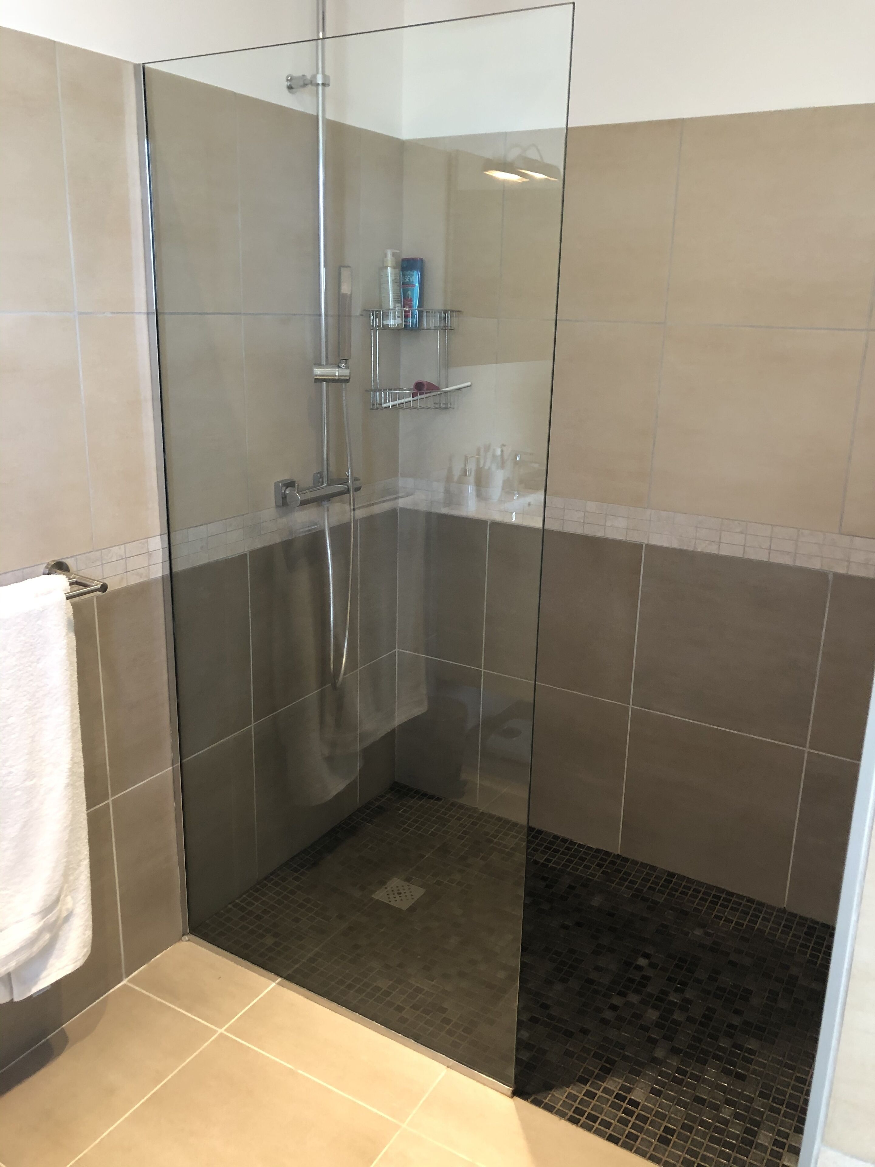 A glass-enclosed shower stall with a tiled floor, a glass shower door, and a towel rack to the left.