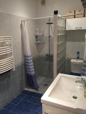 Shower, hair dryer