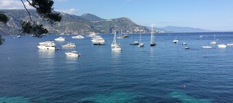 Flot moderne villa med pool i det grønne salt