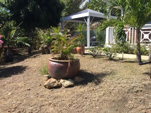 المنطقة المحيطة بالمنشأة