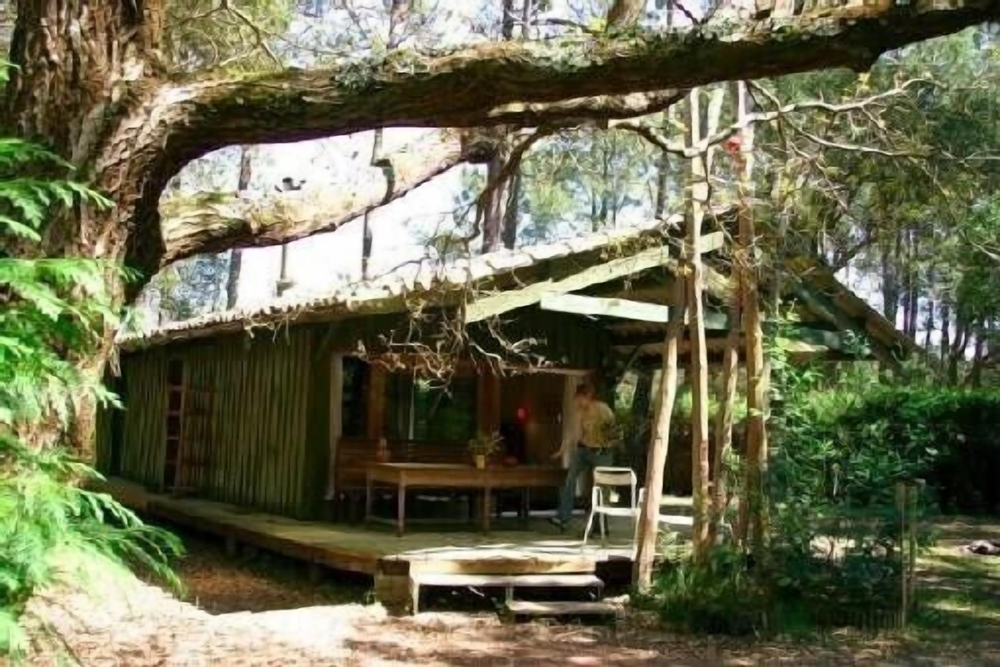Eine rustikale Holzhütte mit einer Holzterrasse, umgeben von dichtem Wald.