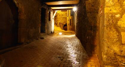 Dans le parc du Mercantour, maison de village au pied des pistes de ski