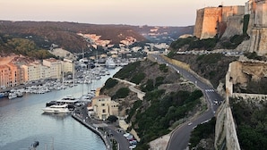 A coastal town with a historic castle, marina, and a road leading to the castle.