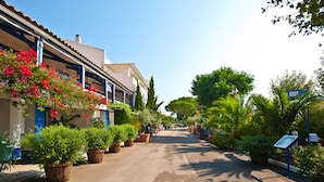 A narrow street lined with traditional buildings, potted plants, and a clear blue sky.