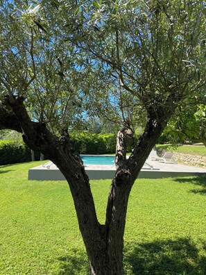 Alberca al aire libre 
