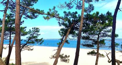 Quartier des Abatilles, hübsche Arcachonnaise in der Nähe. Strände, der Moulleau, Golf
