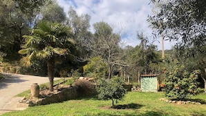 Ein Garten mit einer Palme, einem kleinen Busch und einer Steinmauer.