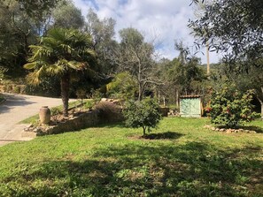 Áreas de la propiedad