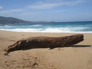 Plage à proximité