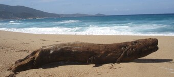 BEAUTIFUL APART. 80M² well equipped GROUND FLOOR VILLA with pleasant garden 