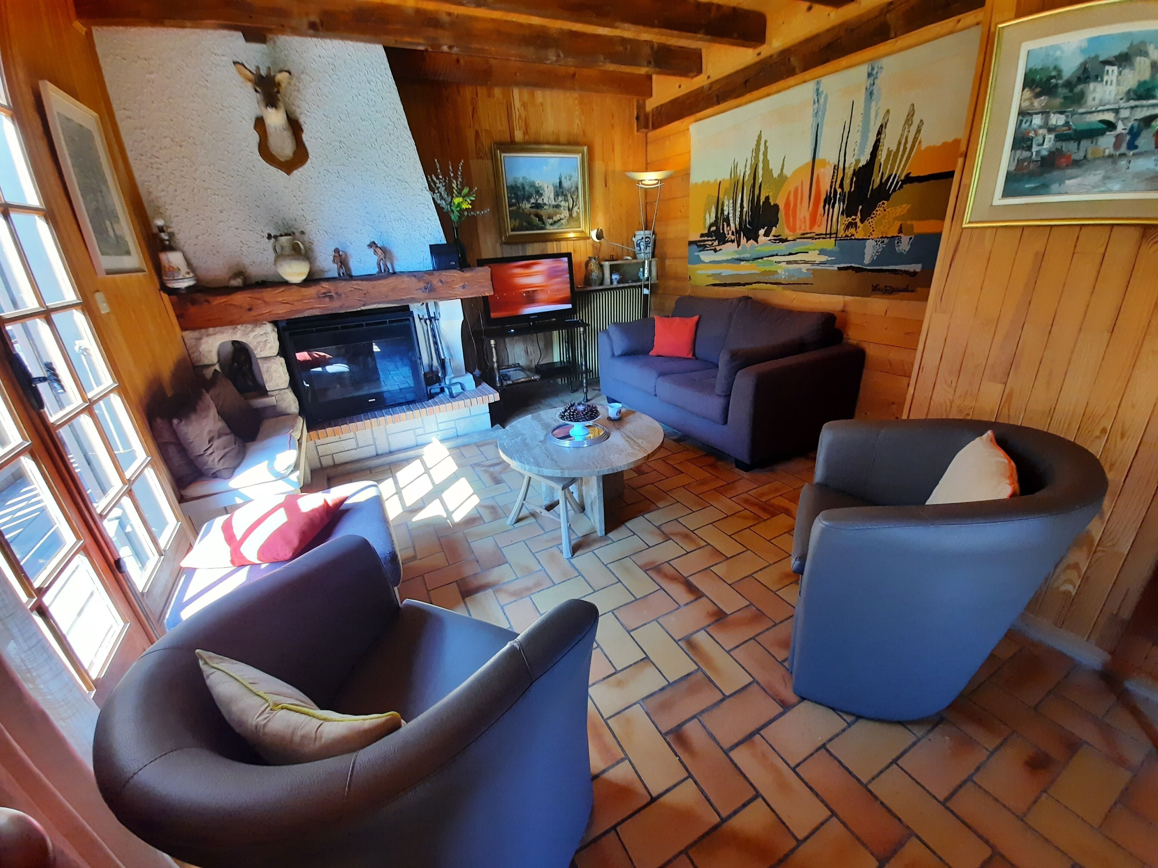 Smart TV, fireplace, books