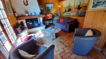 Smart TV, fireplace, books