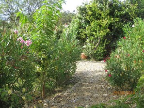 Property grounds - Spacious and pleasant house (Castelnau-De-Guers)