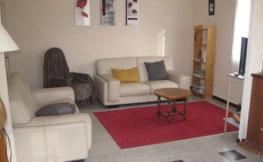 TV, fireplace, DVD player, books