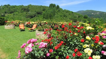 Áreas de la propiedad