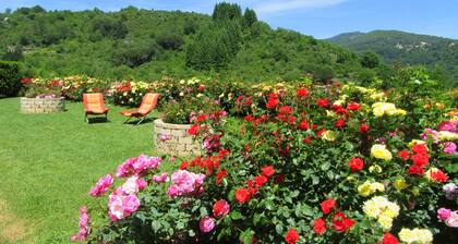 In the heart of the Cevennes: a peaceful stay in a green and relaxing setting