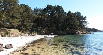 In the heart of the Gulf of Morbihan: authentic house, exceptional comfort