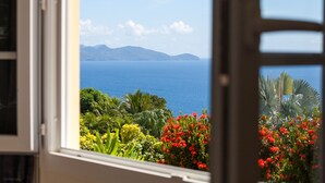 Blick durch ein Fenster auf einen tropischen Garten und eine Küstenlandschaft.