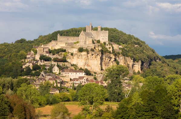 Un castillo histórico en una colina, rodeado de edificios y abundante vegetación.