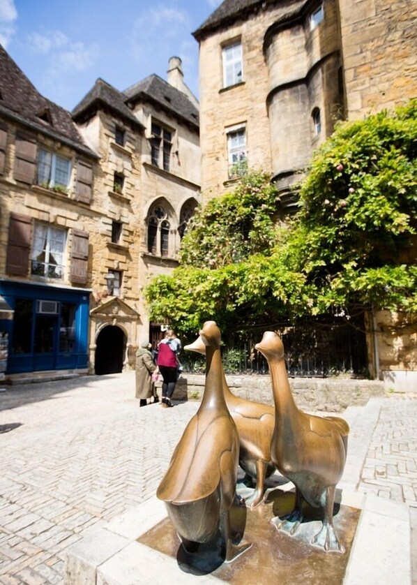 Property grounds - Perigordian house with indoor heated pool 28°. (Saint-Amand-De-Coly)