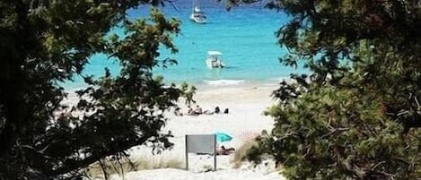 Nära stranden