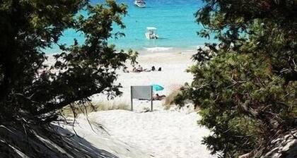 Apartment in a recent residence with swimming pool 5 minutes from Saint Florent
