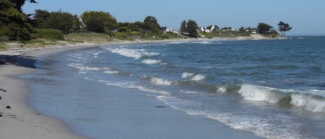 Playa en los alrededores y camastros