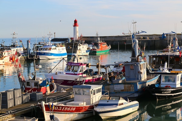 Port de la côtinère