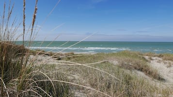 Plage à proximité, chaises longues, serviettes de plage
