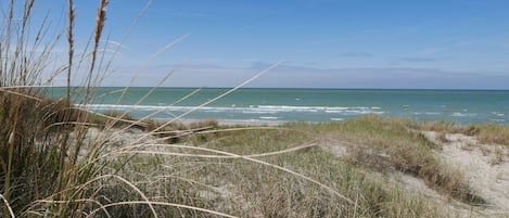 Plage à proximité, chaise longue, serviettes de plage