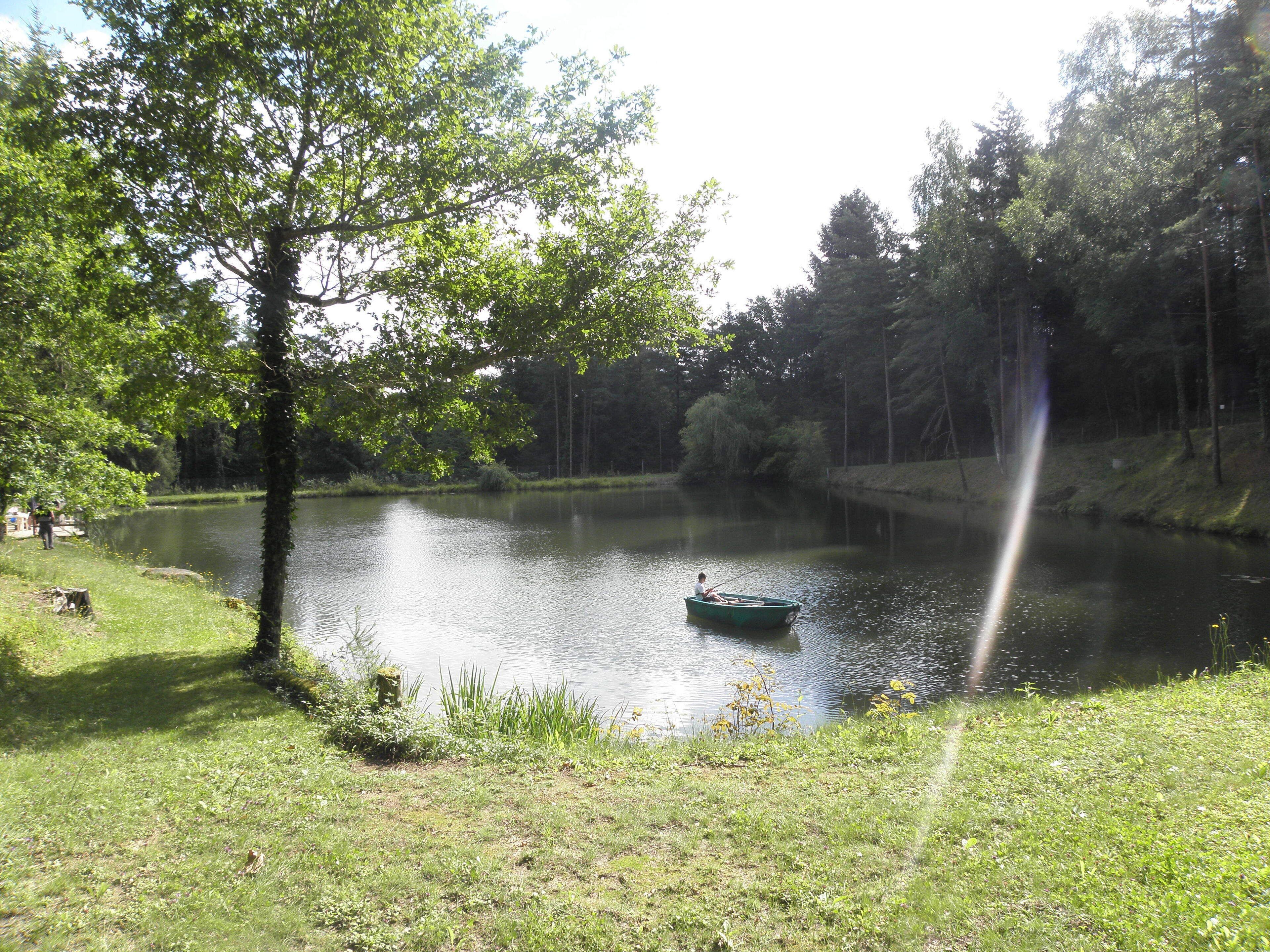 A calm lake surrounded by trees and grassy areas.