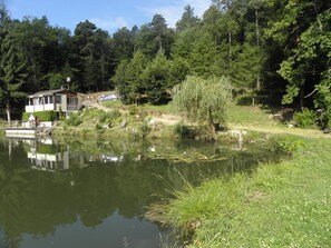 Property grounds - Chalet overlooking a pond in a green setting. (Augignac)