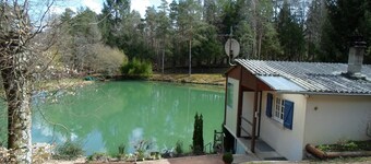 Chalet mit Blick auf einen Teich in einer grünen Umgebung.