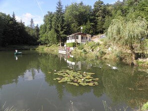 Eine friedliche Seelage mit einem Haus, einer Anlegestelle und üppigem Grün.