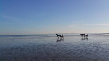 In Strandnähe, Liegestühle