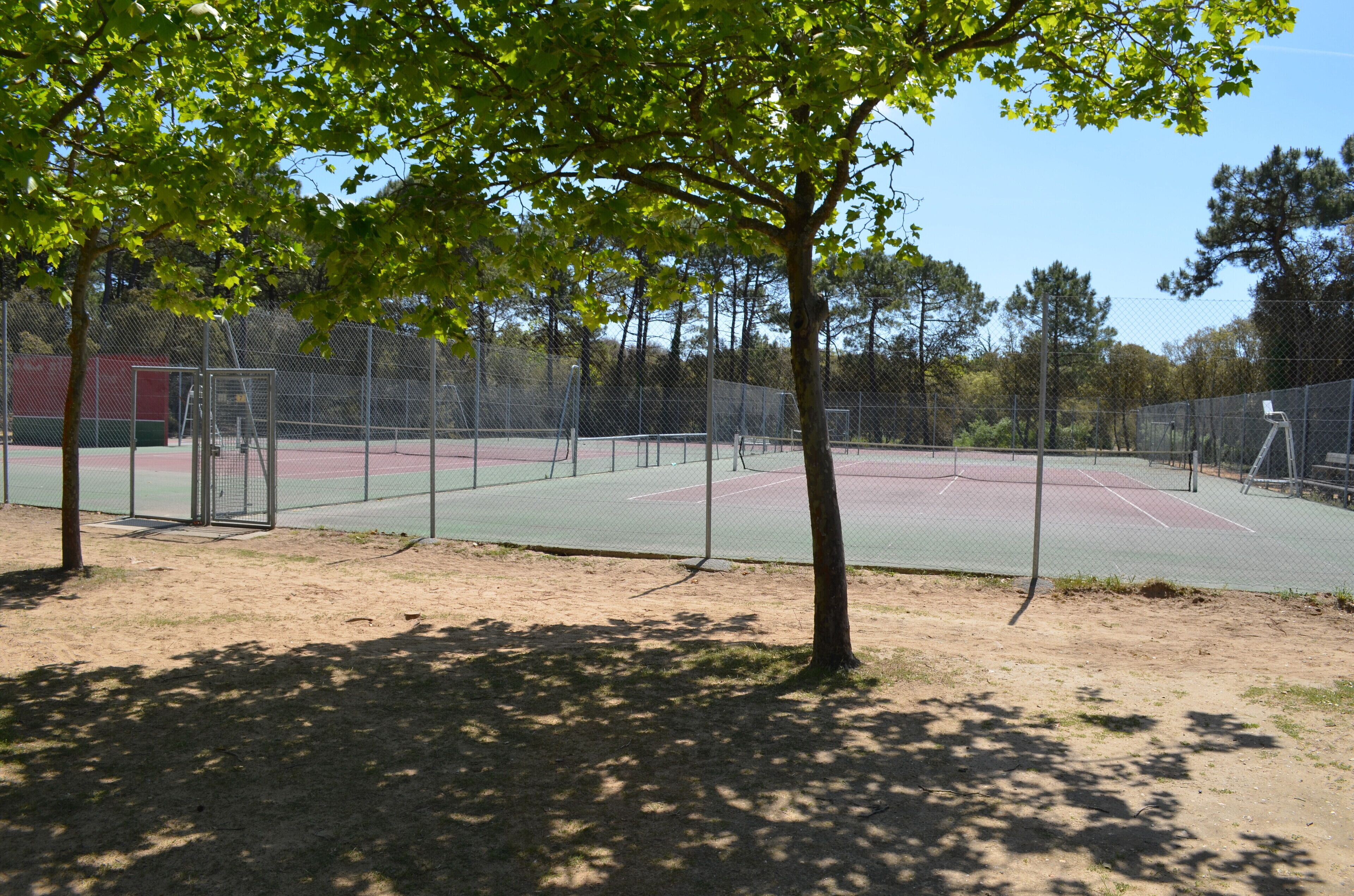 Campo esportivo