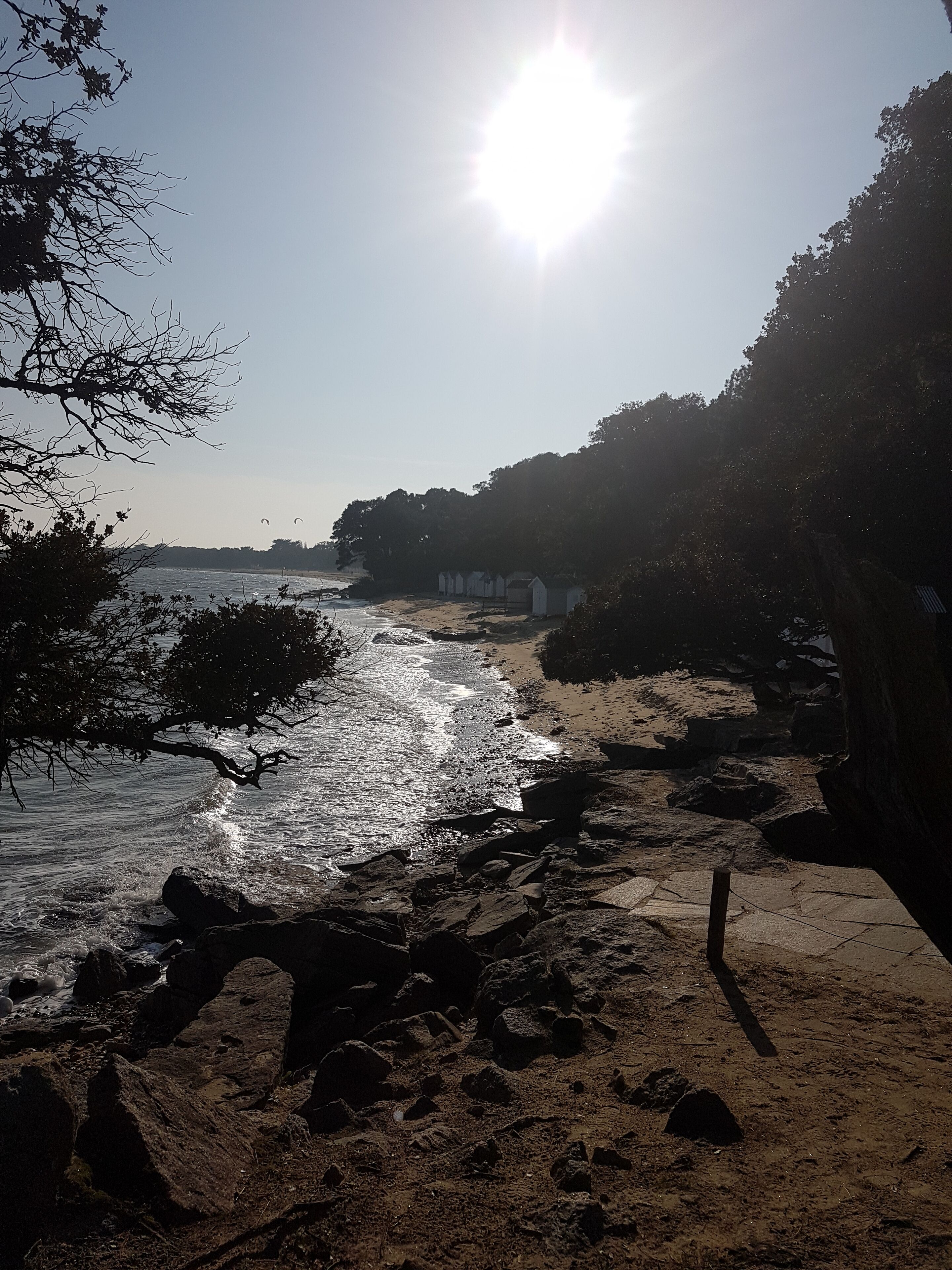 La plage de Noirmoutier, cote sauvage... à 5 mn de la Plage des Demoiselles